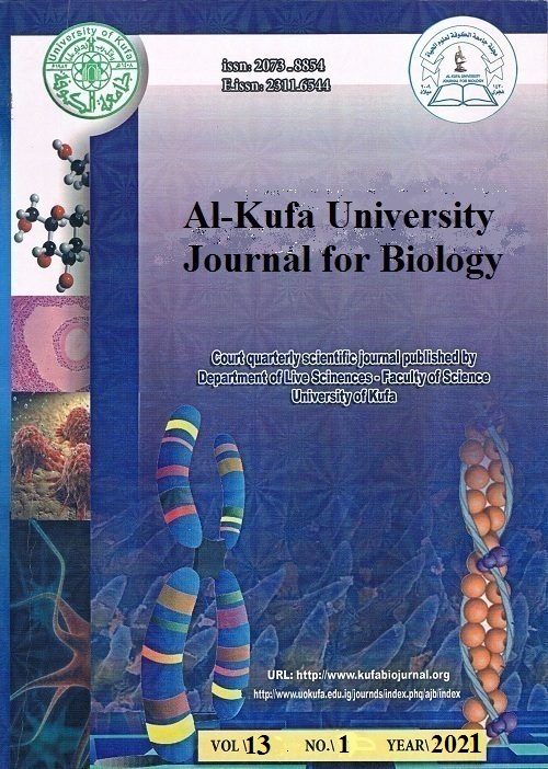 					View Vol. 13 No. 1 (2021): Al-Kufa University Journal for Biology
				